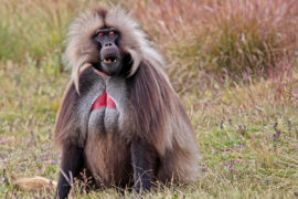 Äthiopien Reise Wandern Trekking