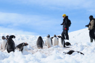 Antarktis Reise Kreuzfahrt Halbinsel