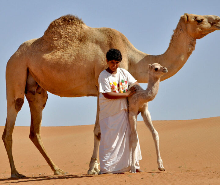 Oman Reise Jeep deutschsprachig
